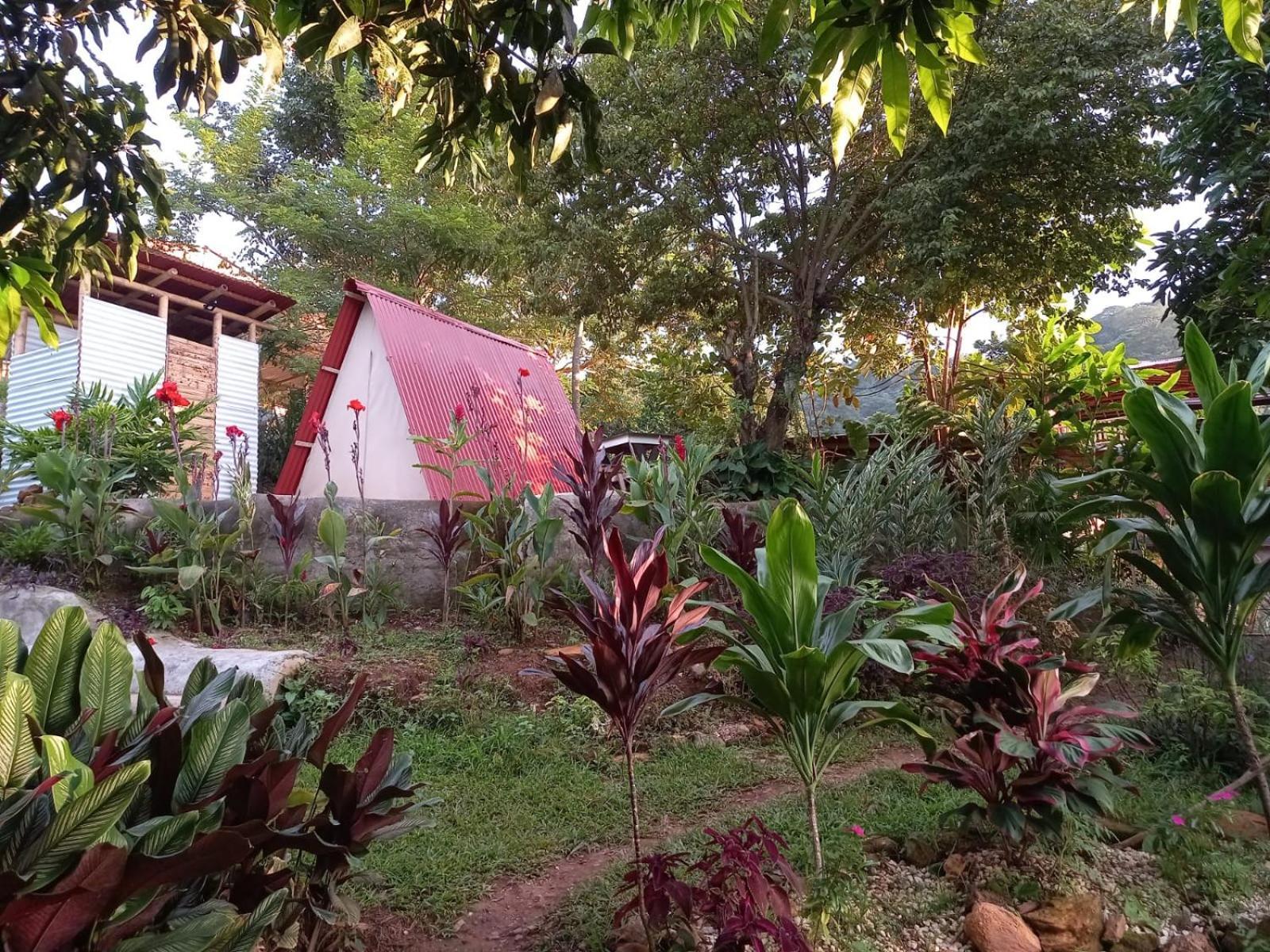 Hotel Tukamping Minca Exterior foto